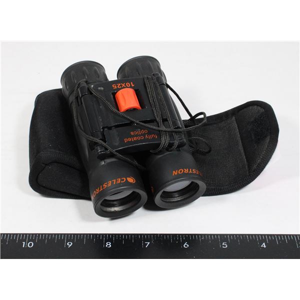 10 X 25 BINOCULARS IN CASE