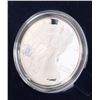 Image 3 : 2000-2003 FINE SILVER PROOF AMERICAN EAGLE SETS