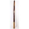 Image 1 : EUCALYPTUS PAINTED ANIMAL 52.50" DIDGERIDOO