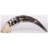 Image 2 : SOUTH AFRICAN CAPE BUFFALO HORN CARVING