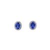 Image 1 : 14kt WG Tanzanite & diamond Halo Stud Earrings