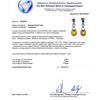 Image 4 : 4.29 ctw Yellow Sapphire and 0.70 ctw Diamond Platinum Earrings