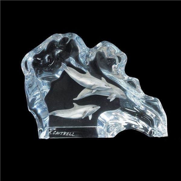 Dolphin Wave by Cantrell Kitty