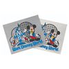Image 1 : A Trio of Walt Disney World Stickers.