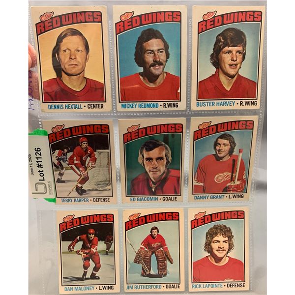 (9) Vintage 1976 OPC Detroit Red Wings Hockey Cards