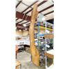 Image 3 : NATURAL LIVE EDGE 148"L X 30"W X 1 3/4"D CURVED WOODEN TABLE TOP