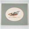 Image 1 : Antique Hand-Colored Lithograph, Rock Thrush