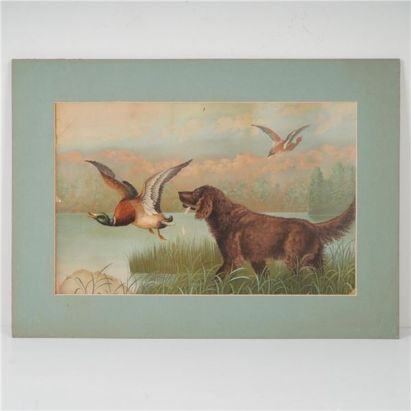 Antique Hunting Chromolithograph with Retriever and Mallard