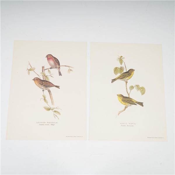 2pc Bird Lithographs, Serin Finch and Lesser Redpole