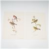Image 1 : 2pc Bird Lithographs, Serin Finch and Lesser Redpole