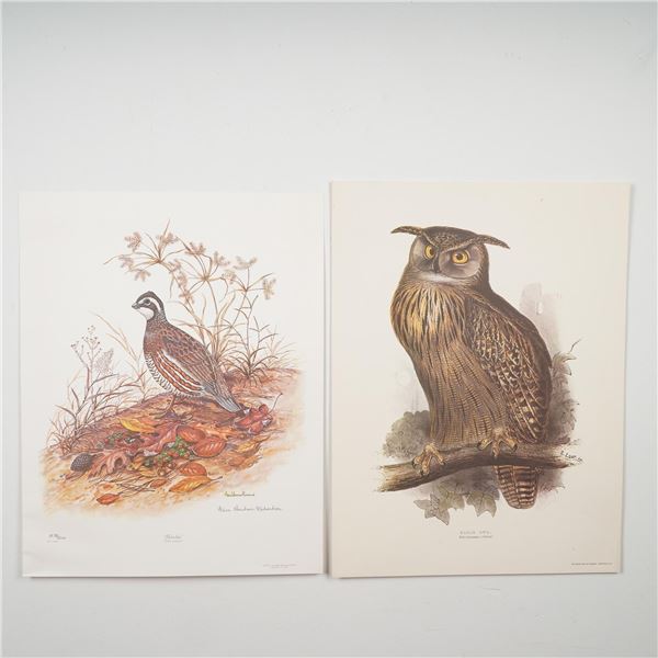2pc Bird Prints, Eagle Owl and Signed Bobwhite by Anne Richardson