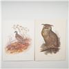 Image 1 : 2pc Bird Prints, Eagle Owl and Signed Bobwhite by Anne Richardson