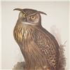 Image 5 : 2pc Bird Prints, Eagle Owl and Signed Bobwhite by Anne Richardson