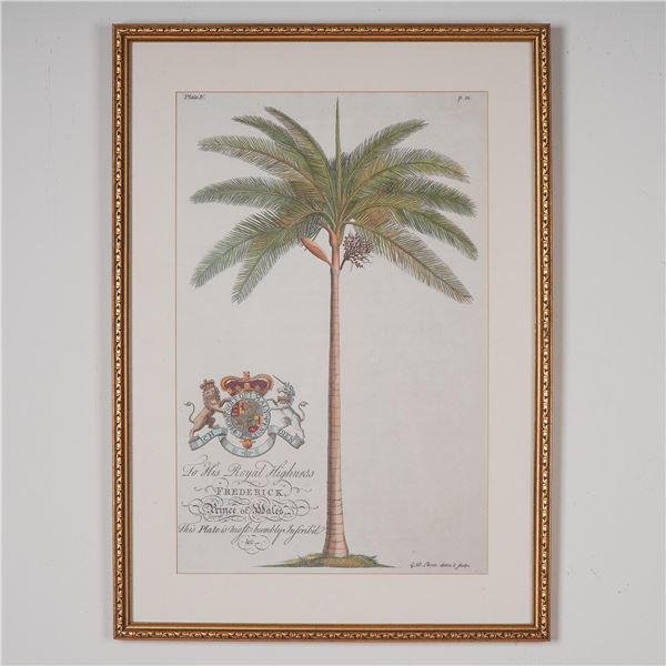 Framed Botanical Decorative Print After Georg Dionysius Ehret, Palm Tree
