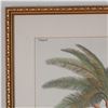 Image 4 : Framed Botanical Decorative Print After Georg Dionysius Ehret, Palm Tree