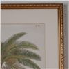 Image 5 : Framed Botanical Decorative Print After Georg Dionysius Ehret, Palm Tree