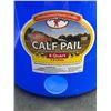 Image 2 : Blue Plastic Calf Pail, 8 Quart/7.6 Liters Capacity with Metal Handle