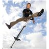 Image 1 : Flybar SP Pogo 1505 with Metal Frame and Spring Mechanism