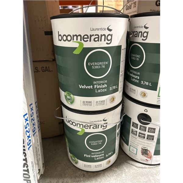 Boomerang Evergreen 5833-76 Interior Velvet Finish Latex Paint, 3.78L