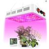 Image 1 : LED Grow Light Model 3F600 by Shenzhen Hanhua Opto Co., Ltd.