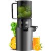 Image 1 : Canoly JE-68 Masticating Juicer With 4.8-Inch Chute and Brush