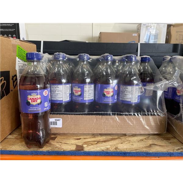 Canada Dry Blackberry Soda, 24 x 500 mL Bottles