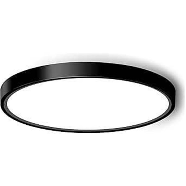 Envirolite 20 Inch LED Ceiling Flush Mount Light, Model EVL653010WH30
