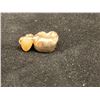 Image 2 : GOLD CROWN (2.9G)