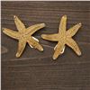 Image 1 : Pair of Gold-Tone Starfish Clip-On Earrings