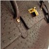 Image 7 : Brown Ostrich Leather Handbag with Gold-Tone Lock and Key