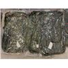 Image 3 : LOT OF 4 NEW BACKPACKS