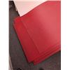 Image 3 : EIGHT RED TEMPLAST SHEETS 38" X8 FT