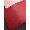Image 3 : SEVEN RED TEMPLAST SHEETS 4FT X8 FT
