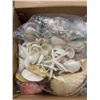 Image 2 : BOX OF VARIOUS SHELLS