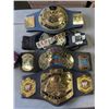Image 2 : WWE WORLD CHANMPION TOY BELTS AND HITMAN BALL