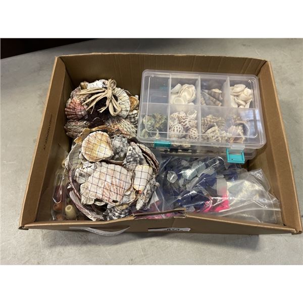 BOX OF VARIOUS SHELLS AND SEMI-PRECIOUS STONES