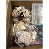 Image 2 : BOX OF VARIOUS SHELLS AND SEMI-PRECIOUS STONES