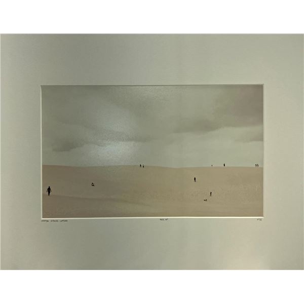 Steffen Schulte Lippern Ants #1 Desert Sand