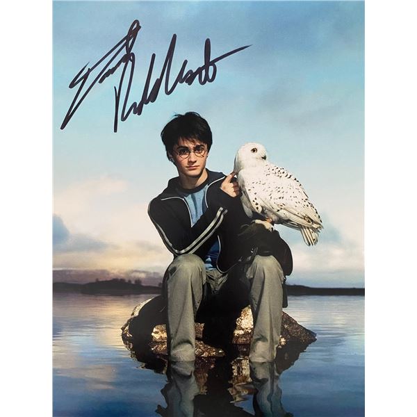 Harry Potter Daniel Radcliffe signed photo