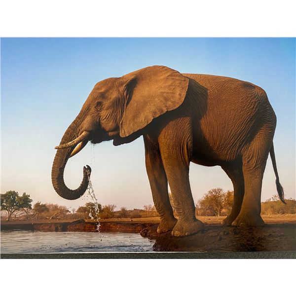 Original African Safari photo