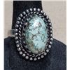 Image 1 : 7)  OVAL NATURAL LANDER TURQUOISE SIZE 6.5 RING,