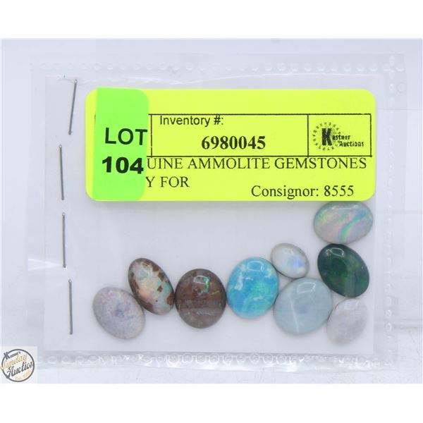 33CTS GENUINE AMMOLITE GEMSTONES READY TO SET