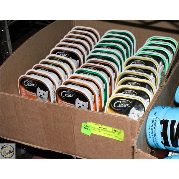 LOT OF ASSORTED CESAR WET DOG FOOD PACKETS