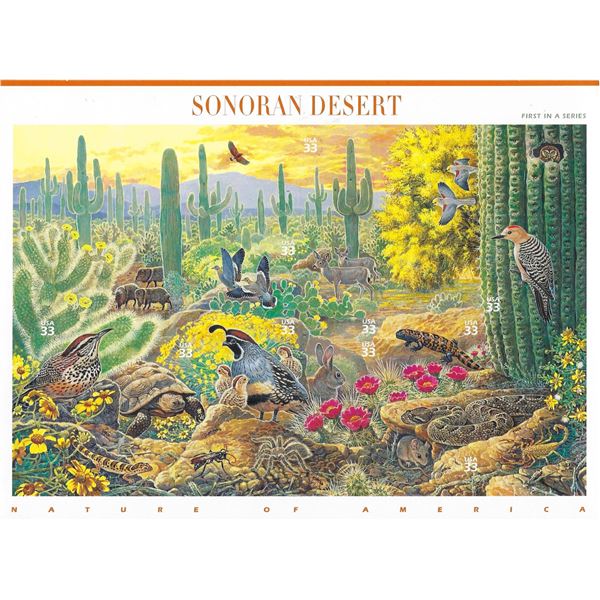 Sonoran Desert Stamp Set
