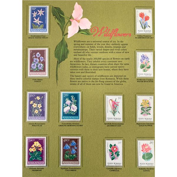 Wildflowers Stamp Set