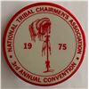 Image 1 : 1975 National Tribal Chairmen's Association pin