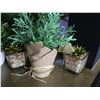 Image 2 : Multiple Artificial Plants in Pots, Misc Sizes