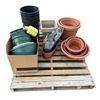 Image 1 : Pallet of assorted Nursery and Flower Pots with 2 Owls