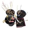 Image 1 : 4 potted Blueberry Bushes