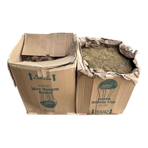2 Boxes Braun Hanging Basket Moss Liners